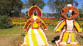 ರಾಜ ಸೀಟ್ ನಲ್ಲಿ ಅರಳಿದ ಹೂಗಳು ಮಡಿಕೇರಿ ಯ ವೈಭವ  madikeri flowers flower flowershow2024 flower [upl. by Orford]