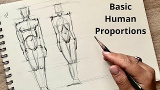 Basic Human Proportions Drawing Tutorial for Beginners [upl. by Netneuq]