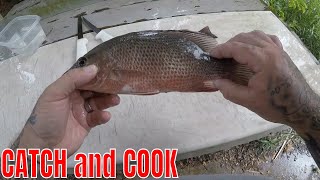 INSHORE MANGROVE SNAPPER CATCH CLEAN and COOK [upl. by Htenay]