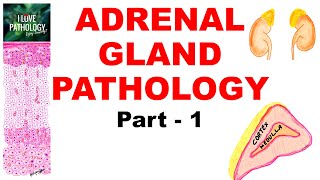 Adrenal Gland Pathology part 1 Classification of diseases [upl. by Homovec]