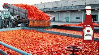 How Tomato Sauce Is Made In Factory  How Ketchup is Made [upl. by Anceline]