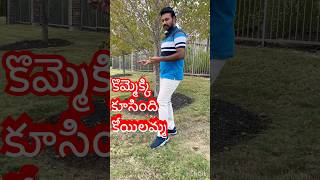 Kommekki koosindhi koyilammayoutubeshorts shorts trendingshorts chiranjeevi [upl. by Aivartal521]