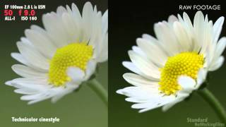 Canon 5Dmk3 REVIEW Part 1  Picture Style comparison Technicolor Cinestyle [upl. by Nylloh]