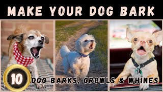 🤔Sounds That Make Your Dog Bark  Dogs Barking Loud  Dog Sounds [upl. by Isak42]