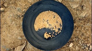 Where is Gold Found In Georgia Gold Prospecting [upl. by Tnattirb841]