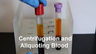 Centrifugation and Aliquoting of Blood Serum and Plasma [upl. by Dunson182]