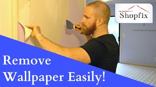 How to Remove Wallpaper Easily Without Special Tools [upl. by Gilbye]