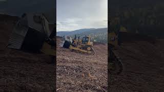 New D9 dozer on retreat to shove up another blade full of ‘hog fuel’ tree bark and other tree bits [upl. by Trever]