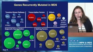 An Approach to Diagnosis and Staging of MDS From Morphology to Genetics [upl. by Revlis]