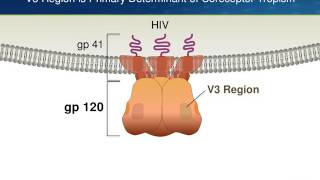 Testing for HIV Coreceptor Tropism [upl. by Colier431]