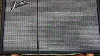 65 Deluxe Reverb  TS 9 and Strat Plus [upl. by Jarus531]