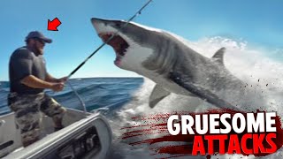 These Shark Attacks Were Almost Too GRUESOME To Mention MARATHON [upl. by Natsirc]