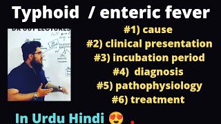 typhoid fever  enteric fever In Urdu Hindi [upl. by Nnilsia933]