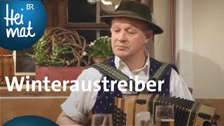 IrlbergTrio Winteraustreiber  BR Heimat  Zsammgspuit  Volksmusik [upl. by Lahcym410]