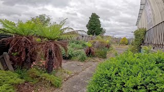 This might be the MOST OVERGROWN garden ever Witness the Unimaginable Turnaround [upl. by Ruhtracm196]