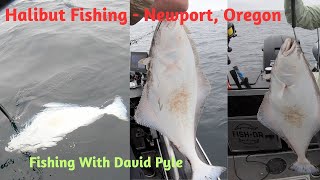 Halibut fishing with FishDR Guide Service out of Newport Oregon [upl. by Erminna]