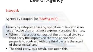 Law of Agency in Ireland [upl. by Nhguavahs]