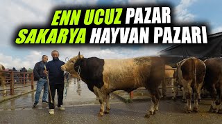 En Güncel Sakarya Hayvan Pazarı Fiyatları  Piyasa Ne Olacak [upl. by Sianna184]