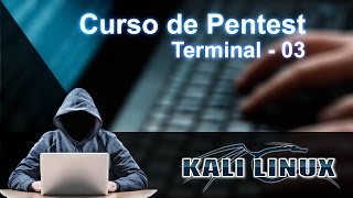 Curso de pentest  Técnicas de invasão Personalizando o Terminal 03 [upl. by Dnomaj]