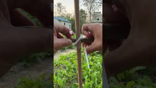 Fixing process of nylon ties for vegetable patch bamboo frame [upl. by Samtsirhc217]