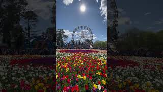 Floriade in Canberra ACT Australia canberra australia [upl. by Guibert454]