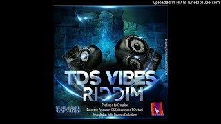 SEH CALAZ  CHANGAMIRETDS VIBES RIDDIMPROD BY CYMPLEX SOLID RECORDSJUNE 2017 [upl. by Gayla917]