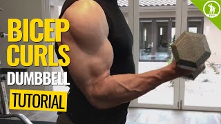 Bicep Curls — DUMBBELL FORM amp TECHNIQUE [upl. by Einram]