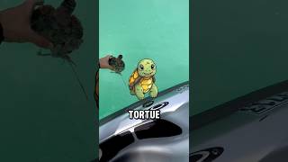 Il a sauvé une tortue🐢 shorts france viral français vidéoCourte tendance [upl. by Oivat702]