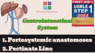 Portosystemic anastomoses pectinate line anatomy of GIT from first aidpart 4USMLEUrduHindi [upl. by Ainoval]