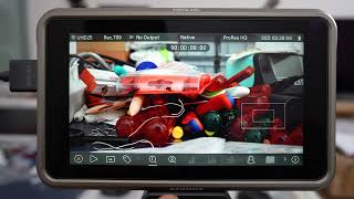 Atomos Ninja V and Ninia Focusmagifying and Audio Level Analog input buggy [upl. by Nodnyl]