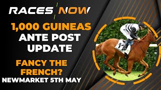 6 Days To Go  1000 Guineas Ante Post Update  Newmarket  Horse Racing [upl. by Melosa]