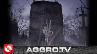 2 JAHRE AGGRO BERLIN R I P OFFICIAL HD VERSION AGGROTV [upl. by Artiek293]