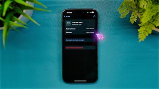 iPhone WLAN Passwörter anzeigen iOS 18 [upl. by Myke]