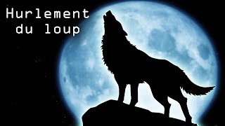 Le hurlement du loup [upl. by Pammi251]