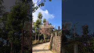 Top 10 places to visit in Nagaland PlanHere youtube nagaland tourism kohima travel planhere [upl. by Lauro]