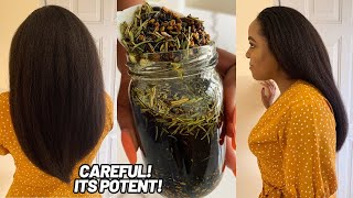 The Most Powerful Hair Growth Oil  Caution‼️It’s Super Potent [upl. by Innig]