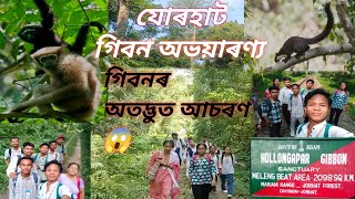 হোলোঙাপাৰ গিবন অভয়াৰণ্য🍃 GIBBON WILDLIFE SANCTUARY 🍃ASSAM🍃MY 2nd VLOG 🙂virelvlog sanctuary happy [upl. by Aerised]