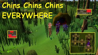 You can make HOW much hunting Red Chins in 2024 Old School RuneScape Osrs GIVEAWAY [upl. by Rocco796]