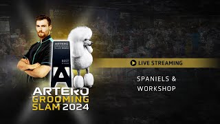 Spaniels amp Workshop  Sunday Morning  Live Artero Grooming Slam 2024 [upl. by Ellerred]