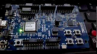 nRF52 blink demo [upl. by Dannye]