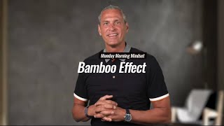 Bamboo Effect [upl. by Stilla]