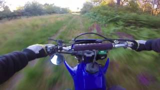 Yamaha WRF 400 1998 Enduro Ride Forest Sound [upl. by Eerolam]