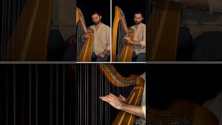 Promise Reprise  Silent Hill 2 Harp Cover silenthill2 gamesmusic cover [upl. by Ezechiel]