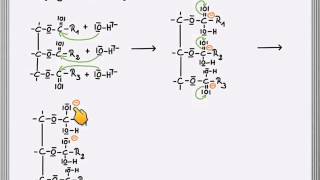 Verseifung Reaktionsmechanismus [upl. by Atteinotna]