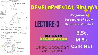 Oogenesis  Hormonal control  Structure of ovum  Types of Egg membranes  Notes pdf in description [upl. by Adnovad]