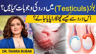 Understanding Testicular Pain Causes and Solutions  Dr Tahira Rubab [upl. by Lammond]