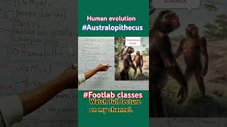 australopithecus human evolution biology science footlab classes [upl. by Attenrad]