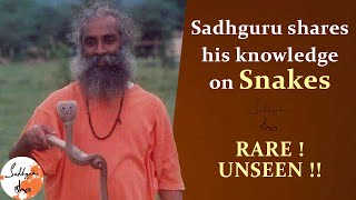 Sadhguru shares his knowledge on SNAKES  Sadguru Isha [upl. by Acnayb]