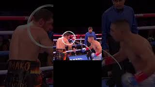 Skill the take over teofimo Lopez boxing skill [upl. by Esila]