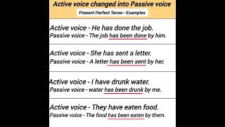 active voice changed into passive voice present perfect tense examples [upl. by Brodench]